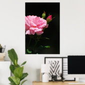 Bud van een roos poster (Thuiskantoor)