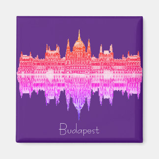 Budapest Hungary Parlementsarchitectuur Magnet