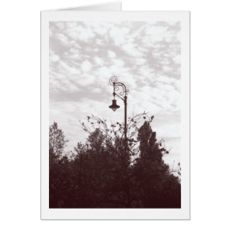 Budapest Streetlight