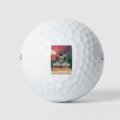 BUDDAH 46,tif Golfballen (Voorkant)