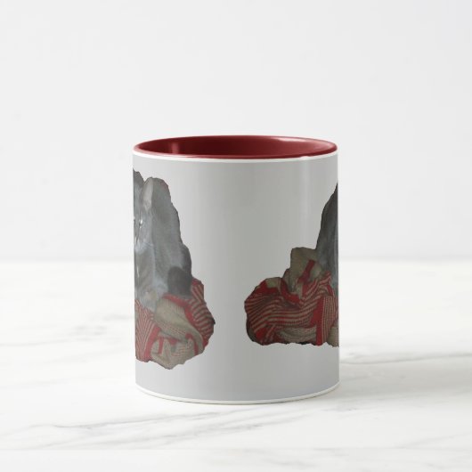 Buddah Gray Grumpy Cat Mok (Midden)