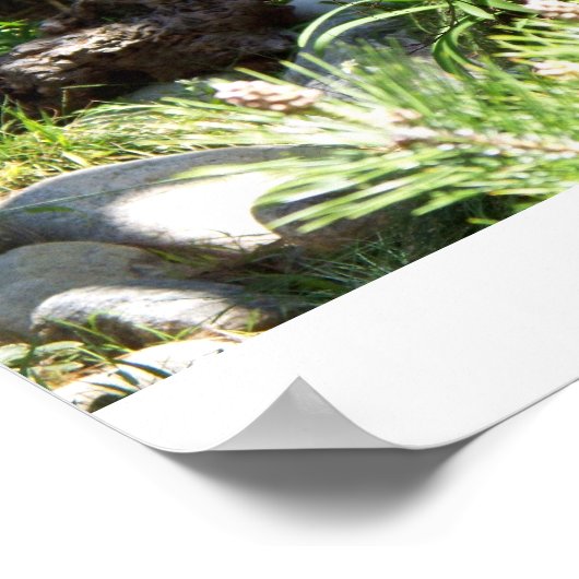 Buddah Meditation Poster (Hoek)