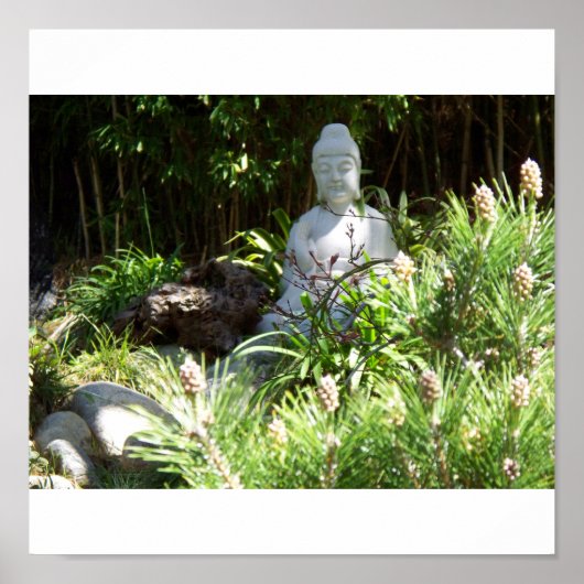 Buddah Meditation Poster (Voorkant)