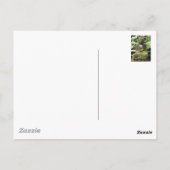 Buddha Bali Briefkaart (Achterkant)