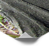 Buddha Figur mit Bambus im Hintergrund Poster (Hoek)