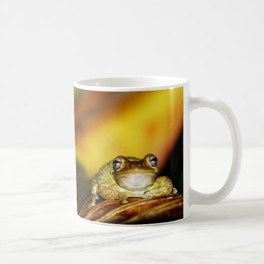 Buddha Frog Koffiemok (Rechts)