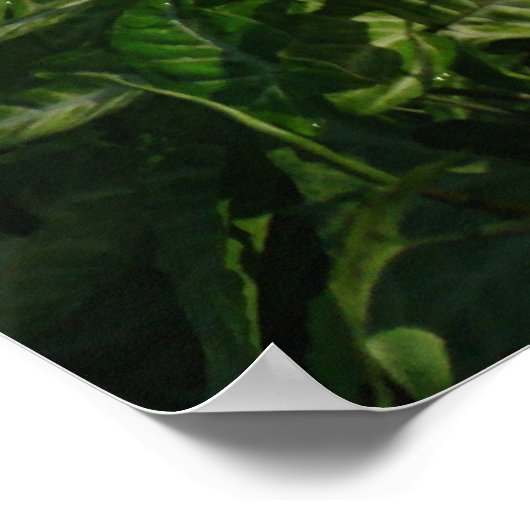 Buddha in thought poster (Hoek)