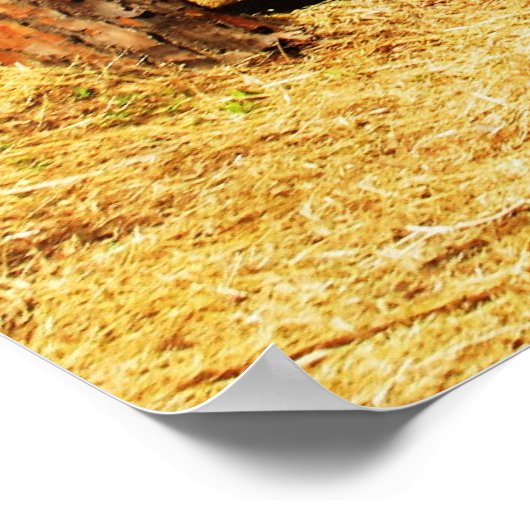 Buddha inspirerend path QUOTE poster (Hoek)