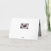 BUDDHA MET STROMEN HAPPY BIRTHDAY-WENSKAART KAART (Achterkant)