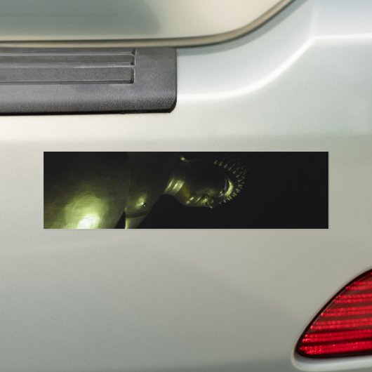 Buddha Nacht Bumpersticker (Op auto)