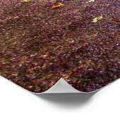 Buddha Path Quote Poster (Hoek)