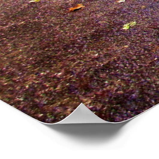 Buddha Path Quote Poster (Hoek)