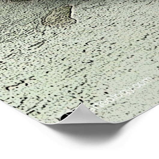 BUDDHA POSTER (Hoek)