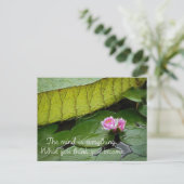 Buddha Quote Briefkaart (Staand voorkant)