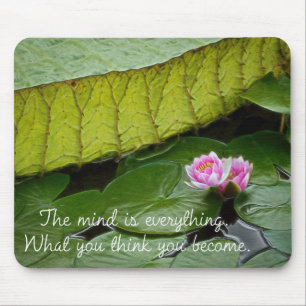 Buddha Quote Waterlily Muismat