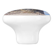 BUDDHA STATUE EN QUOTE Ceramic Knob. Keramische Knop (Zijkant)