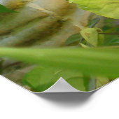 Buddha's back poster (Hoek)