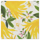 BUDDHA'S HAND Citrus Fruit Stof (Close Up)