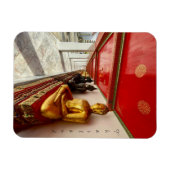 Buddhas Wat Pho Thailand Magneet (Horizontaal)