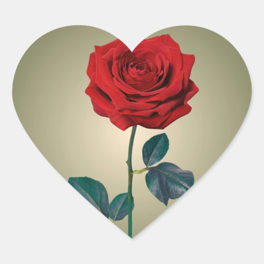 BuddhaToday #1 - Zen Liefde Stickers (Voorkant)