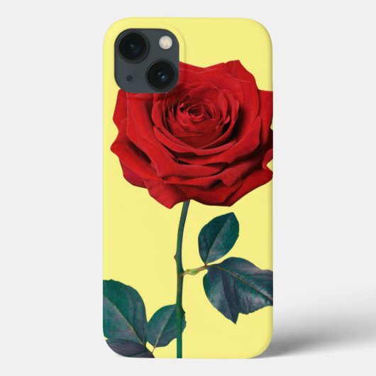 BuddhaToday V1 #12 Case-Mate Case-Mate iPhone Hoes (Achterkant)