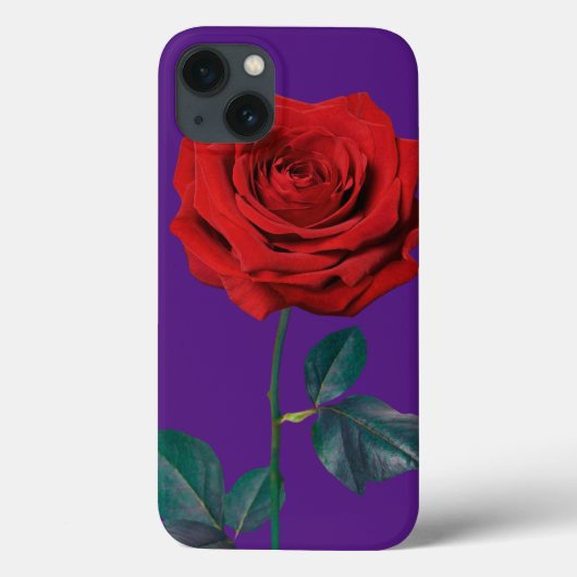 BuddhaToday V1 #17 Case-Mate Case-Mate iPhone Hoes (Achterkant)