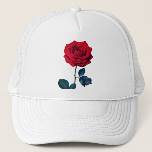 BuddhaToday V1 - #1 🌹 Trucker Pet (Voorkant)
