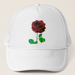 BuddhaToday V1 - #4🌹  Trucker Pet