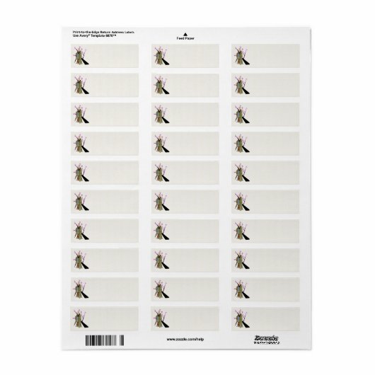 Buddhist Monk Return Address Label (Full Sheet)