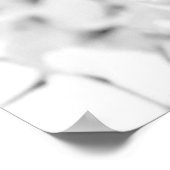 Buddhist Temple Lamp Post Grace Dignity B&W Poster (Hoek)