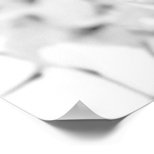 Buddhist Temple  Lamp Post Grace Dignity B&W Poster (Hoek)