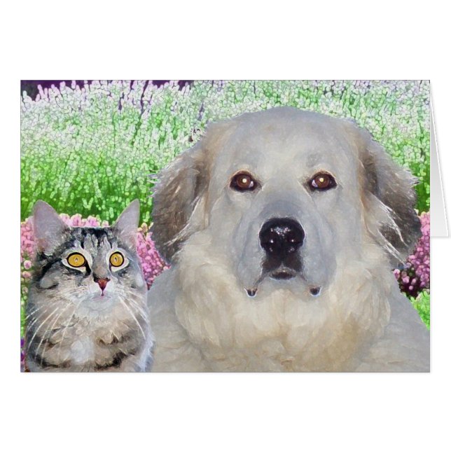 Buddies (Voorkant Horizontaal)