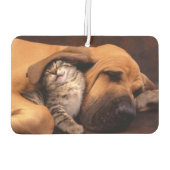 Buddies Air Freshener Luchtverfrisser (Achterkant)