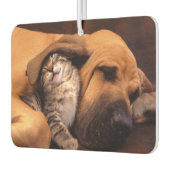 Buddies Air Freshener Luchtverfrisser (Links)