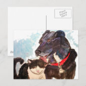 Buddies Briefkaart (Voorkant / Achterkant)