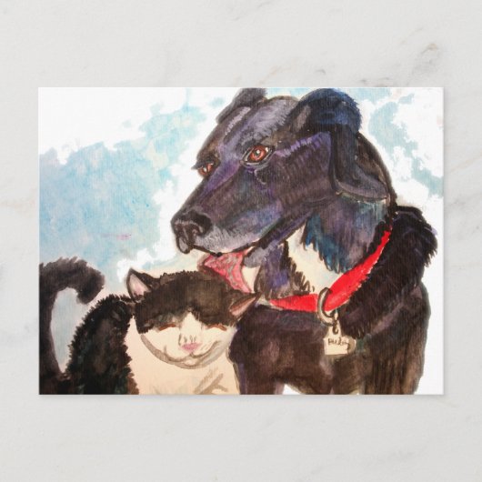 Buddies Briefkaart (Voorkant)