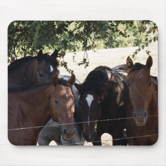 Buddies Muismat (Voorkant)