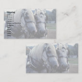 Buddies, paardenteam visitekaartje (Voorkant / Achterkant)