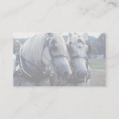 Buddies, paardenteam visitekaartje (Achterkant)