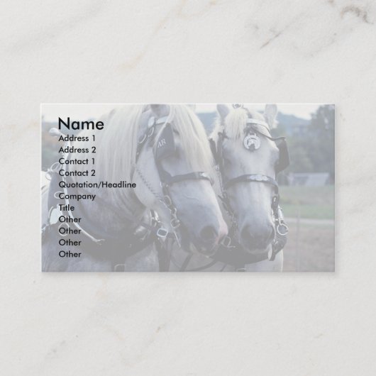 Buddies, paardenteam visitekaartje (Voorkant)