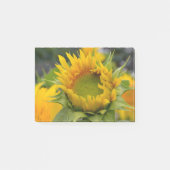 Budding Sunflower Post-it® Notes (Voorkant)