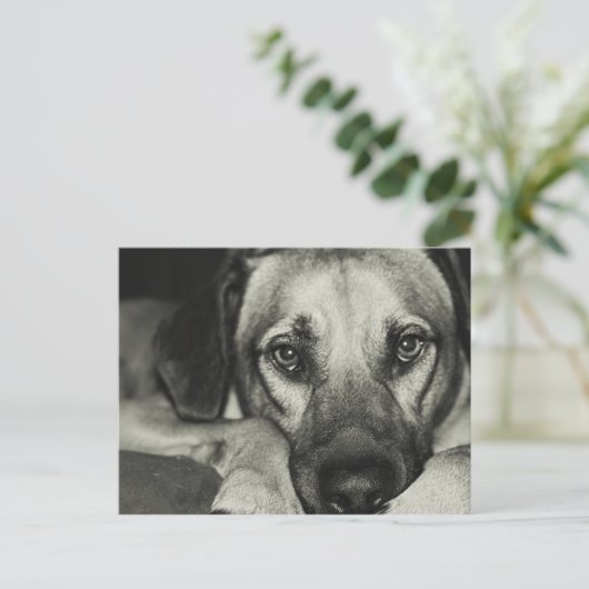 Buddy Briefkaart (Staand voorkant)