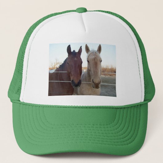 Buddy - Buddy Trucker Pet (Voorkant)