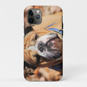 Buddy Bulldog Case-Mate iPhone Case