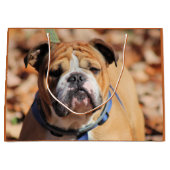 Buddy Bulldog Gift Bag Groot Cadeauzakje (Voorkant)