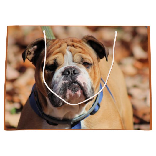 Buddy Bulldog Gift Bag Groot Cadeauzakje (Voorkant)