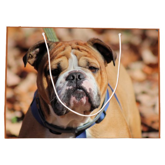 Buddy Bulldog Gift Bag Groot Cadeauzakje (Achterkant)