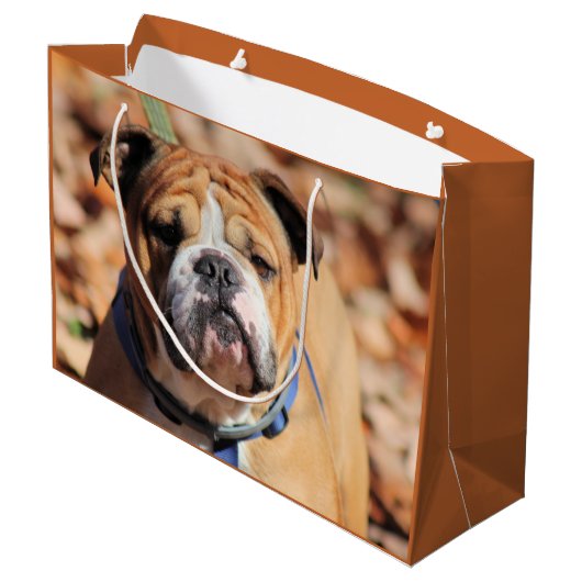 Buddy Bulldog Gift Bag Groot Cadeauzakje (Achterkant Gekanteld)