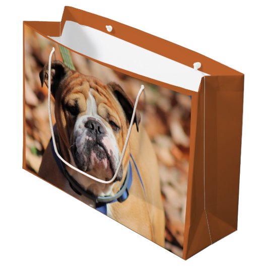 Buddy Bulldog Gift Bag Groot Cadeauzakje (Voorkant Gekanteld)