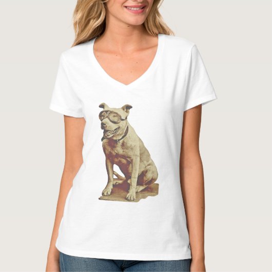 Buddy de co-piloot t-shirt (Voorkant)